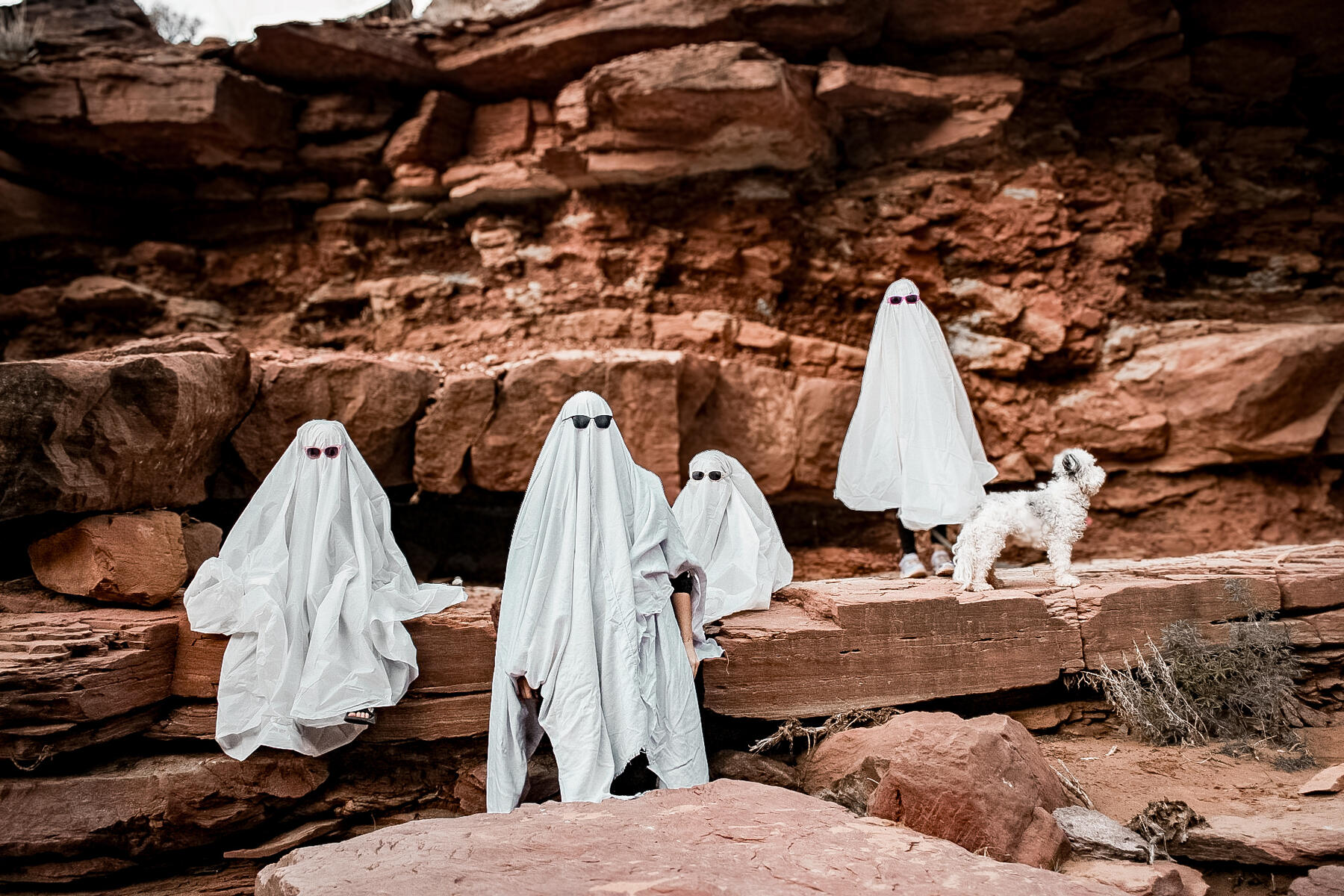 one adult and four kids in ghost sheets standing and sitting on red rocks in canyon with dog Halloween photo shoot fun photos